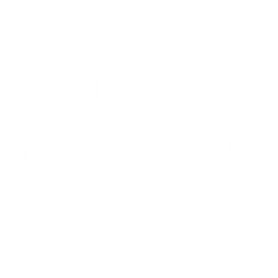 logo du site de pdp generator